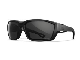 Ochranné okuliare  ALPINE CAPTIVATE™ - sivé [WileyX]